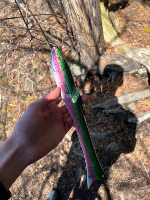 Customer photo from Dustin K.