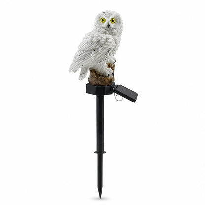 Solar Owl Pathway Light