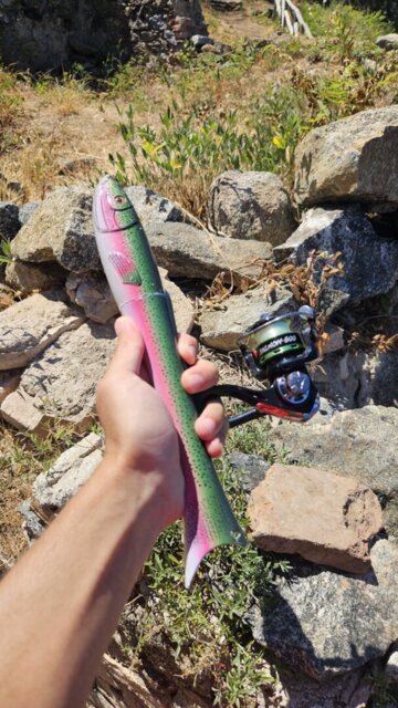 Customer photo from Sage P.