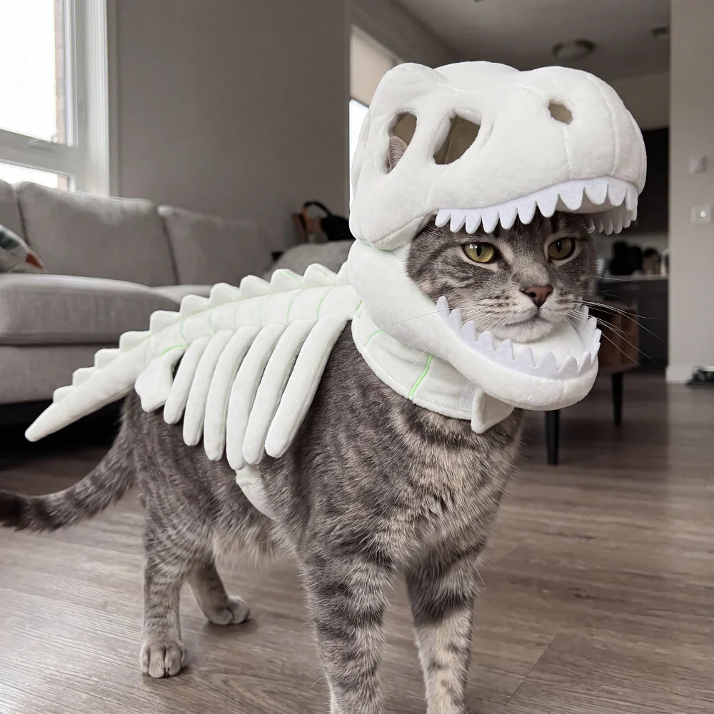 Dinocat costume