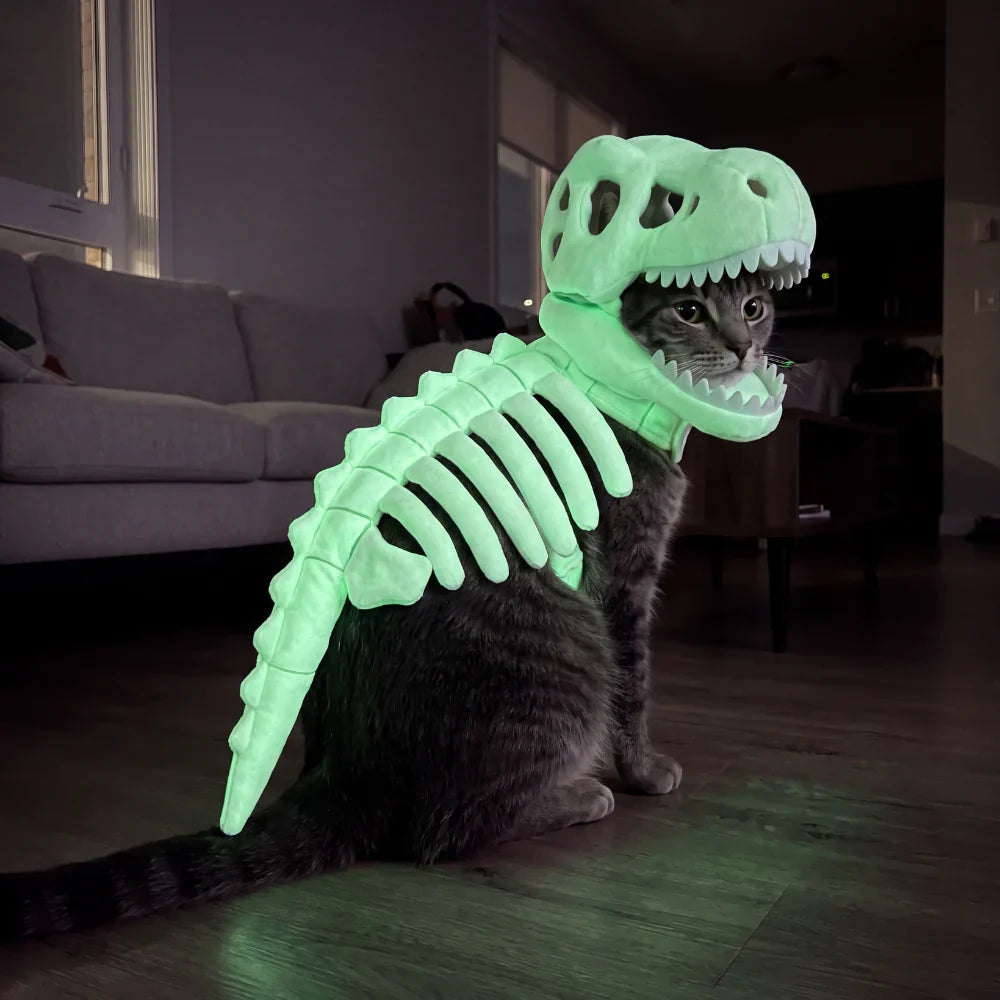 Dinocat costume