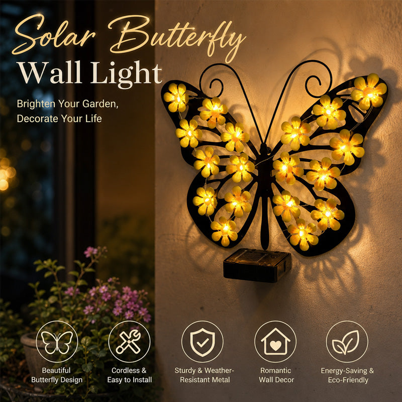 Butterfly Light Night